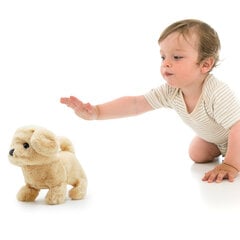 PUGS AT PLAY Staigājošs suns "Goldie" cena un informācija | Rotaļlietas meitenēm | 220.lv