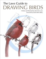 Laws Guide to Drawing Birds цена и информация | Книги об искусстве | 220.lv