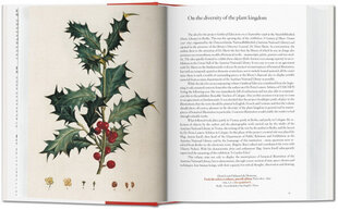 Garden Eden. Masterpieces of Botanical Illustration. 40th Ed. Multilingual edition цена и информация | Книги об искусстве | 220.lv