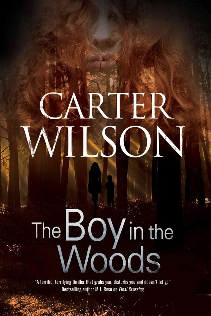 Boy in the Woods Main cena un informācija | Fantāzija, fantastikas grāmatas | 220.lv