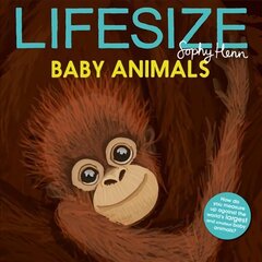 Lifesize Baby Animals цена и информация | Книги для подростков и молодежи | 220.lv