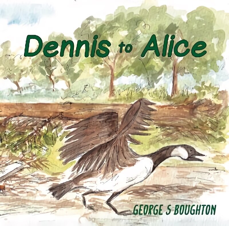 Dennis to Alice цена и информация | Grāmatas pusaudžiem un jauniešiem | 220.lv