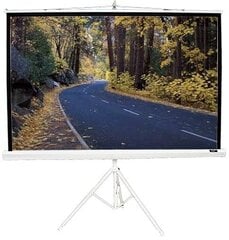 Elite Screens T85NWS1 (152 x 152 см) цена и информация | Экраны для проекторов | 220.lv