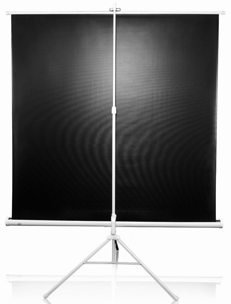 Elite Screens T120NWV1 (243 x 182 cm) цена и информация | Ekrāni projektoriem | 220.lv