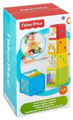 Fisher Price кубики цена и информация | Игрушки для малышей | 220.lv