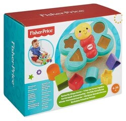 Сортировщик формул - бабочка Fisher Price, CDC22 цена и информация | Fisher Price Товары для детей и младенцев | 220.lv