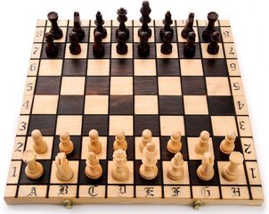 Настольная игра Шахматы Filipek 43 x 43 см цена и информация | Настольные игры, головоломки | 220.lv