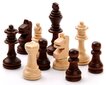 Galda spēle šahs Filipek цена и информация | Galda spēles | 220.lv