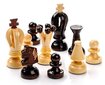 Galda spēle Šahs Filipek 35 x 35 cm cena un informācija | Galda spēles | 220.lv