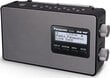 Panasonic RF-D10GN-K цена и информация | Radioaparāti, modinātājpulksteņi | 220.lv