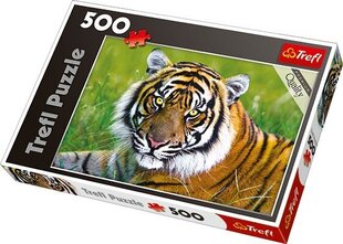 Пазл Trefl "Tiger", 500 шт. цена и информация | Пазлы | 220.lv