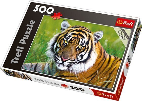 Puzle Trefl "Tiger", 500 gab. cena un informācija | Puzles, 3D puzles | 220.lv