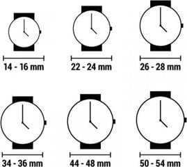 Sieviešu Pulkstenis Michael Kors MK3197 (Ø 42 mm) cena un informācija | Sieviešu pulksteņi | 220.lv