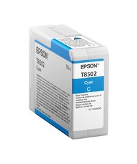 Epson T850200 UltraChrome HD, zils цена и информация | Картриджи для струйных принтеров | 220.lv