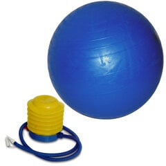 Zilā vingrošanas bumba ar sūkni, 75 cm. cena un informācija | Vingrošanas bumbas | 220.lv