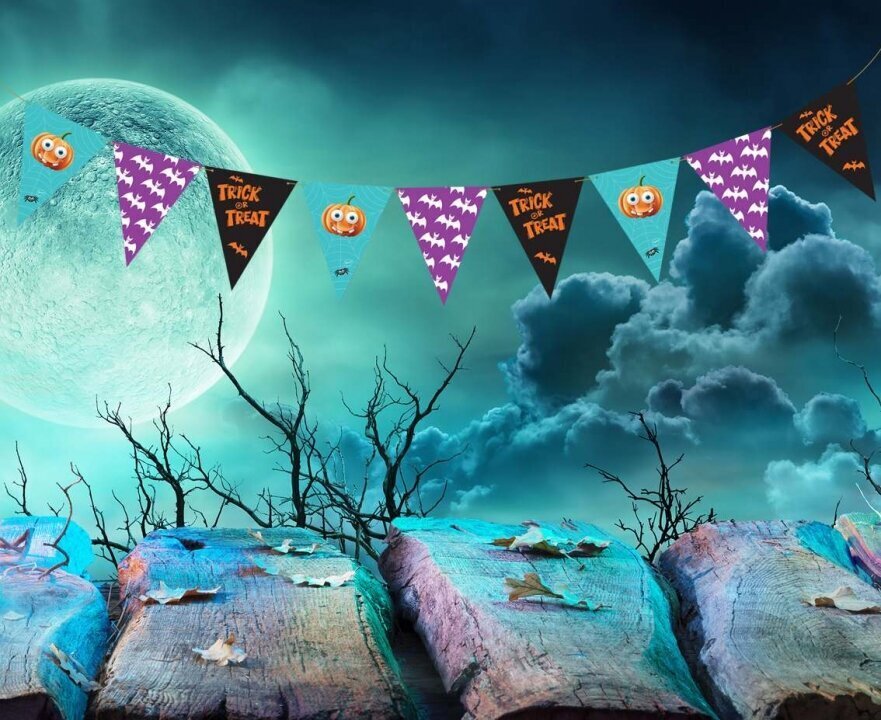 Vimpeļu vītne 250 x 19 cm, Boo Halloween (RV-GPFB) 6316 цена и информация | Svētku dekorācijas | 220.lv