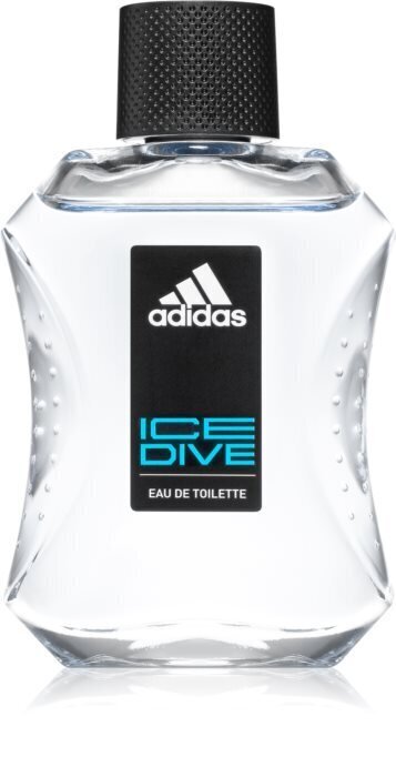 Tualetes ūdens Adidas Ice Dive EDT vīriešiem 100 ml цена и информация | Vīriešu smaržas | 220.lv