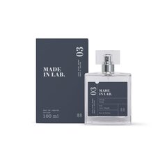 Парфюмированная вода Made in Lab 03 Men EDP для мужчин 100 мл цена и информация | Мужские духи | 220.lv