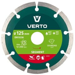 Verto dimanta disks 125x22.2 mm Segmented 61H2S5 cena un informācija | Slīpmašīnas | 220.lv