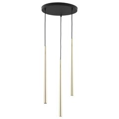 Piekaramā lampa TK Lighting Piano Gold 6421 cena un informācija | Lustras | 220.lv