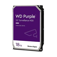 WD WD180PURZ цена и информация | Внутренние жёсткие диски (HDD, SSD, Hybrid) | 220.lv