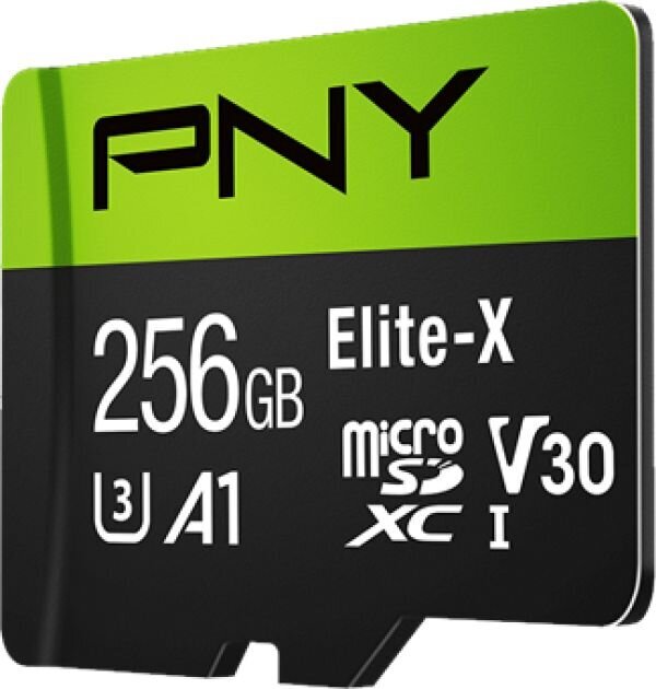 PNY P-SDU256U3100EX-GE cena un informācija | Atmiņas kartes mobilajiem telefoniem | 220.lv