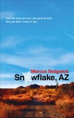 Snowflake, AZ цена и информация | Книги для подростков  | 220.lv