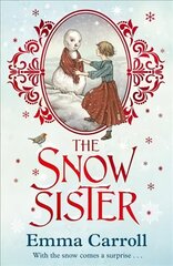 Snow Sister Main цена и информация | Книги для подростков  | 220.lv