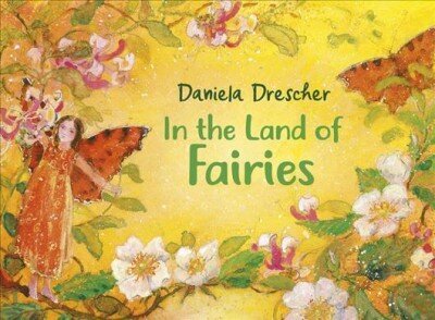In the Land of Fairies 3rd Revised edition cena un informācija | Grāmatas mazuļiem | 220.lv