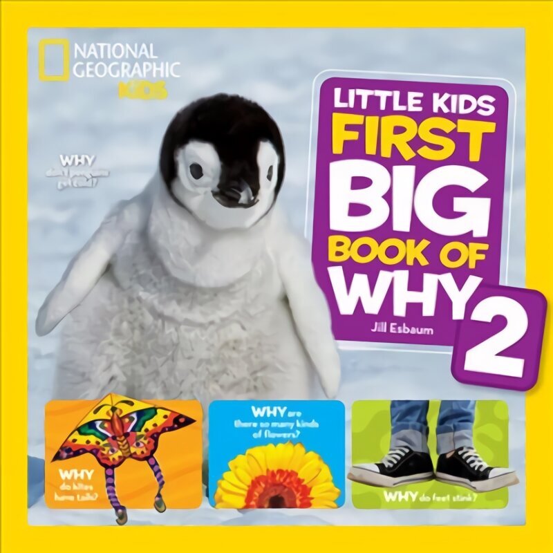 Little Kids First Big Book of Why 2 цена и информация | Grāmatas pusaudžiem un jauniešiem | 220.lv