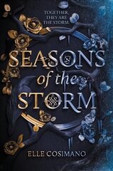 Seasons of the Storm цена и информация | Книги для подростков и молодежи | 220.lv