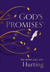 God's Promises for When You are Hurting цена и информация | Духовная литература | 220.lv