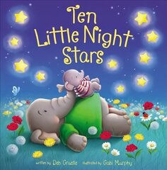 Ten Little Night Stars цена и информация | Книги для малышей | 220.lv