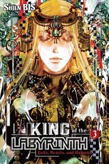 King of the Labyrinth, Vol. 3 (light novel) цена и информация | Фантастика, фэнтези | 220.lv