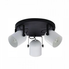 Griestu lampa TK Lighting Spectra black/white 3491 cena un informācija | Griestu lampas | 220.lv