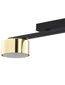Griestu lampa TK Lighting Dallas gold 6091 cena un informācija | Griestu lampas | 220.lv
