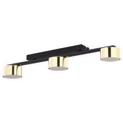 Griestu lampa TK Lighting Dallas gold 6091 цена и информация | Потолочные светильники | 220.lv