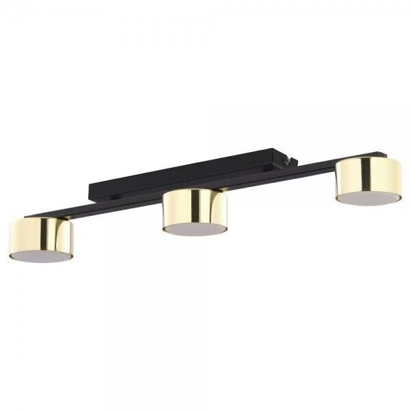 Griestu lampa TK Lighting Dallas gold 6091 cena un informācija | Griestu lampas | 220.lv