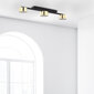 Griestu lampa TK Lighting Dallas gold 6091 цена и информация | Griestu lampas | 220.lv