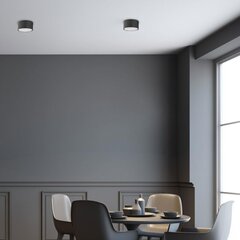 Griestu lampa TK Lighting Dallas 6241 цена и информация | Потолочные светильники | 220.lv