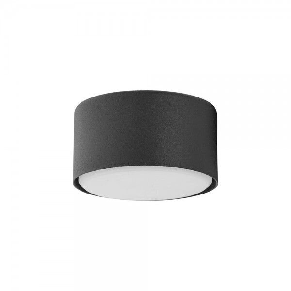 Griestu lampa TK Lighting Dallas 6241 cena un informācija | Griestu lampas | 220.lv