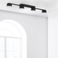 Griestu lampa TK Lighting Dallas 6245 цена и информация | Griestu lampas | 220.lv