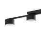 Griestu lampa TK Lighting Dallas 6245 цена и информация | Griestu lampas | 220.lv