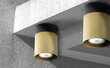 Griestu lampa TK Lighting Vico gold 6508 cena un informācija | Griestu lampas | 220.lv