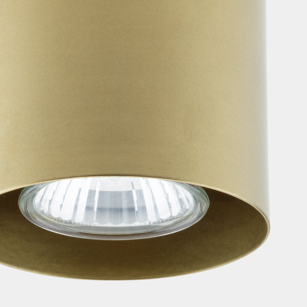 Griestu lampa TK Lighting Vico gold 6508 cena un informācija | Griestu lampas | 220.lv