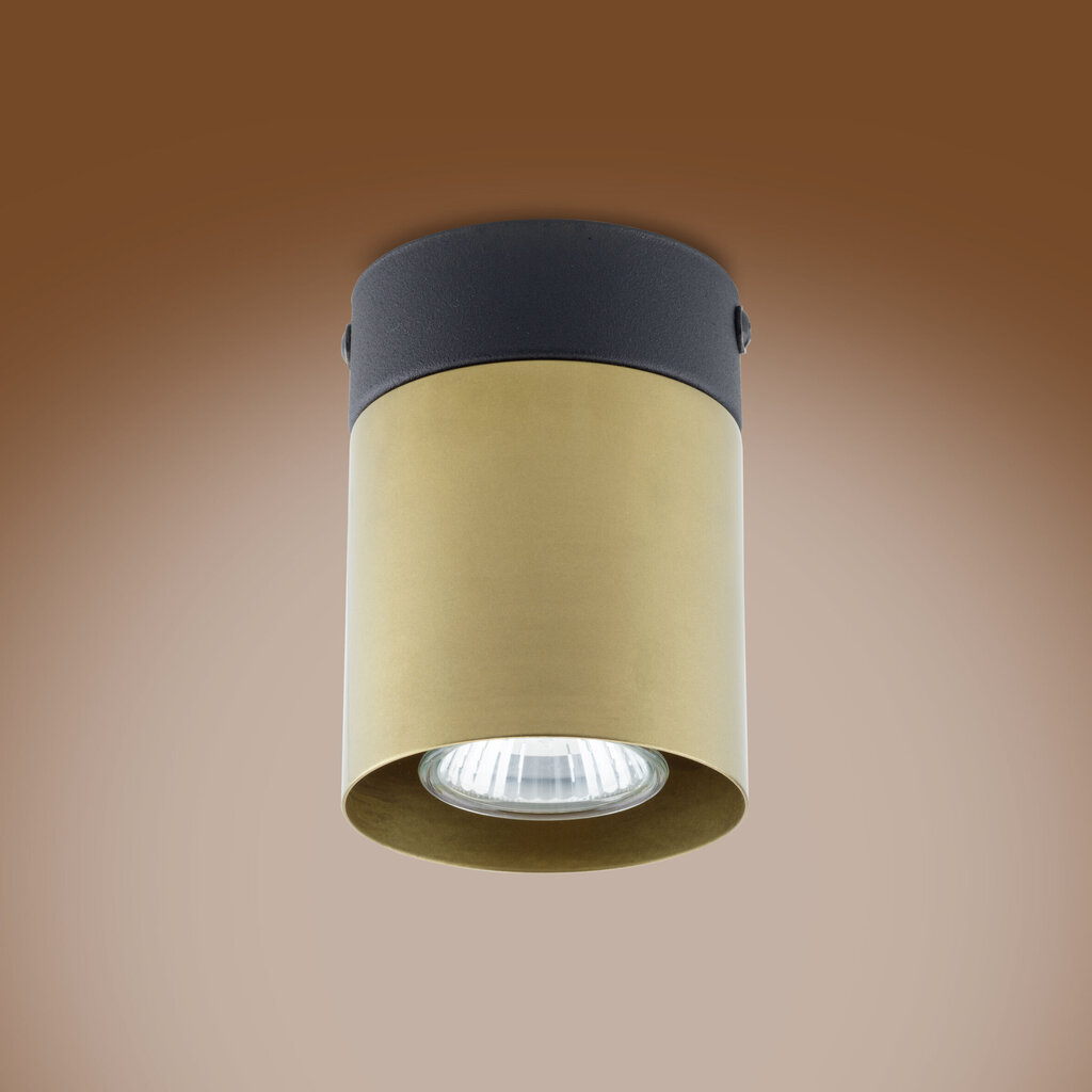 Griestu lampa TK Lighting Vico gold 6508 cena un informācija | Griestu lampas | 220.lv