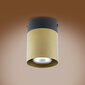 Griestu lampa TK Lighting Vico gold 6508 cena un informācija | Griestu lampas | 220.lv