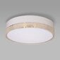 Griestu lampa TK Lighting Paglia 600 6535 цена и информация | Griestu lampas | 220.lv