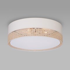 Griestu lampa TK Lighting Paglia 450 6536 цена и информация | Потолочные светильники | 220.lv