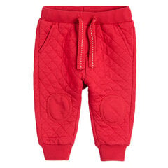 Cool Club спортивные штаны для мальчиков, CCB2503157 цена и информация | Штаны для младенцев | 220.lv